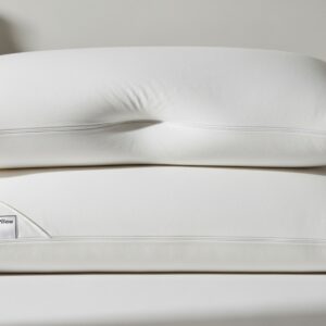 Memory Foam Pillow (2-Pack)